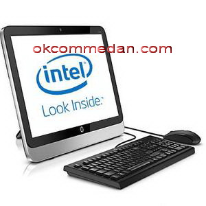 HP All in one PC 20 e029d