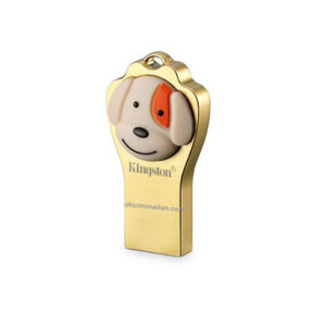 kingston flashdisk32g limited