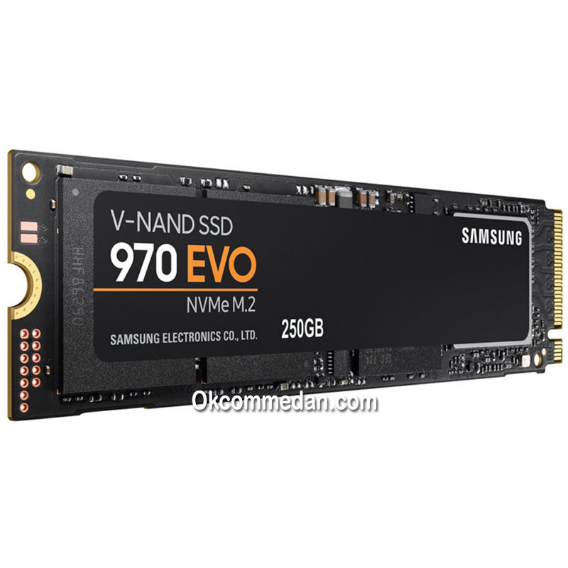 Jual Samsung SSD Evo 970 250 Gb NVME M.2