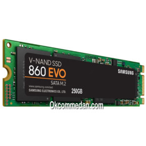 SSD M.2 Samsung Evo 860 250 Gb