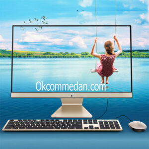 Asus PC All in one V222FBK- Ba341t Intel Core i3 10110u