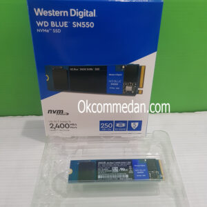 SSD WD Blue M,2 Nvme Kapasitas 250 Gb