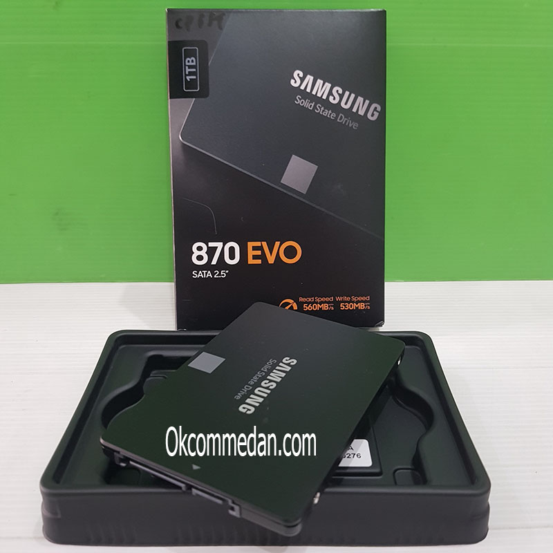 Samsung SSD Evo 870 1 TB
