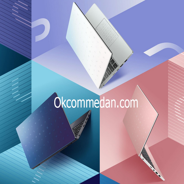 Asus E410Kao Laptop Intel Pentium Silver N6000